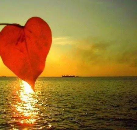 I Cinque Continenti Palermo